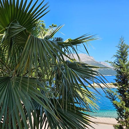 Villa Jade Apartments Front Row Sea View - Walk To Korcula Old Town Medvinjak Exterior foto