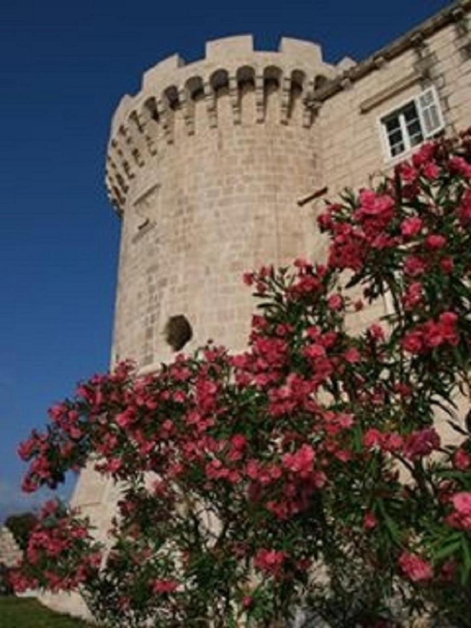 Villa Jade Apartments Front Row Sea View - Walk To Korcula Old Town Medvinjak Exterior foto
